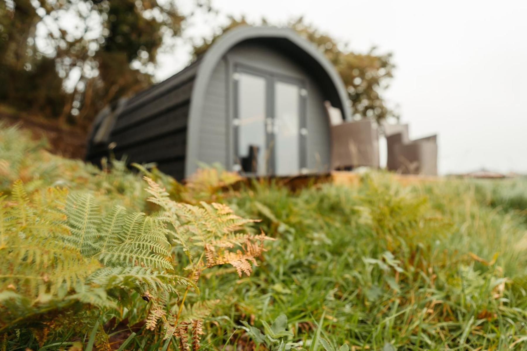 Cefn Crib Cabins Machynlleth Exteriér fotografie